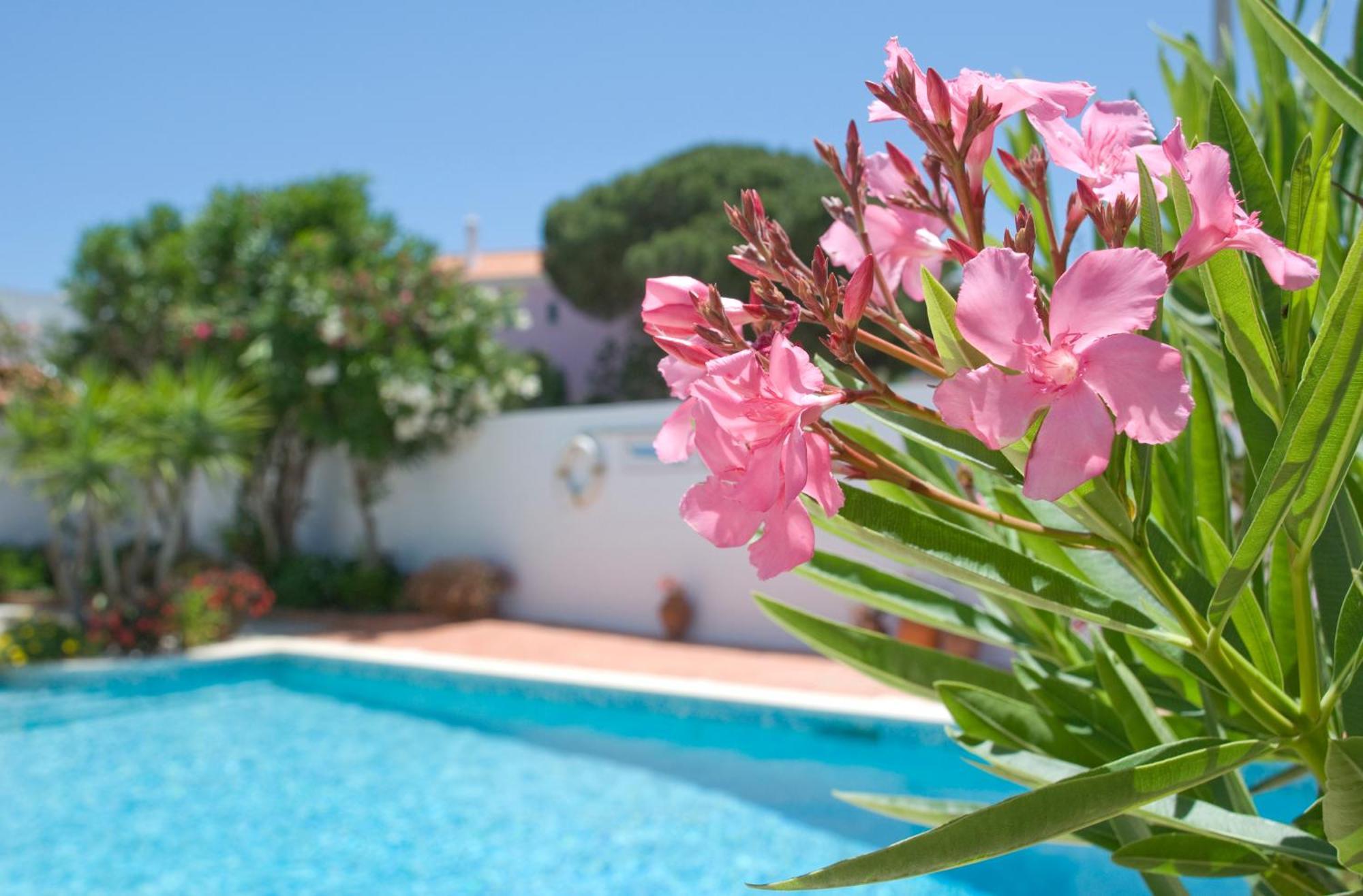Apartamentos Turisticos SolΛάγος Εξωτερικό φωτογραφία
